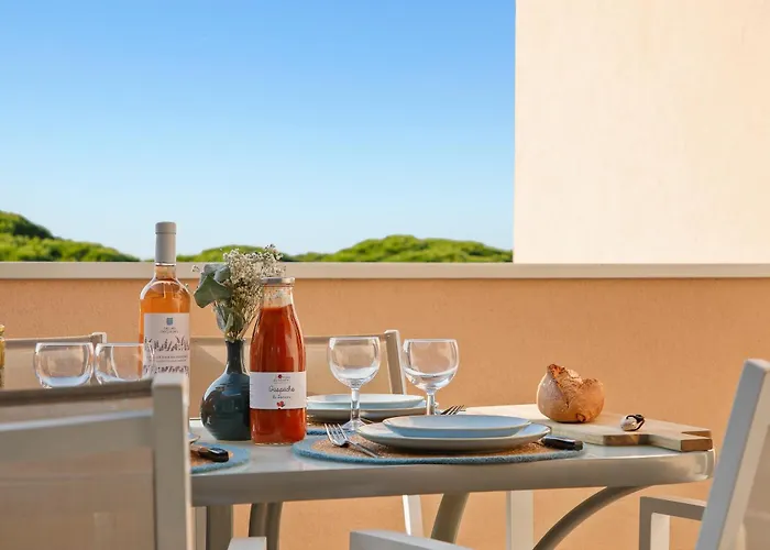 Piscine & Soleil A - T3 Spacieux Avec Clim & Exterieurs Hyères